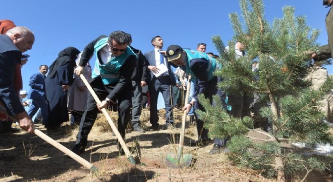 Sekmen: ‘Dağlara tohum atalım’