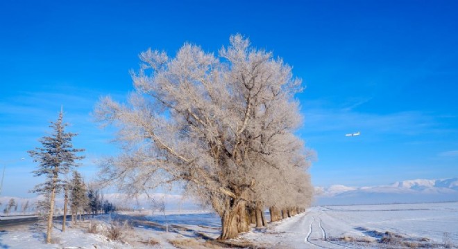 Soğuk rekoru Göle'deydi