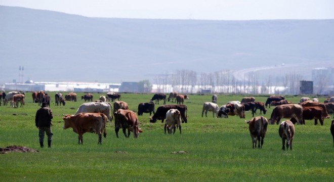 Tarımda üreticilere destekleme çağrısı
