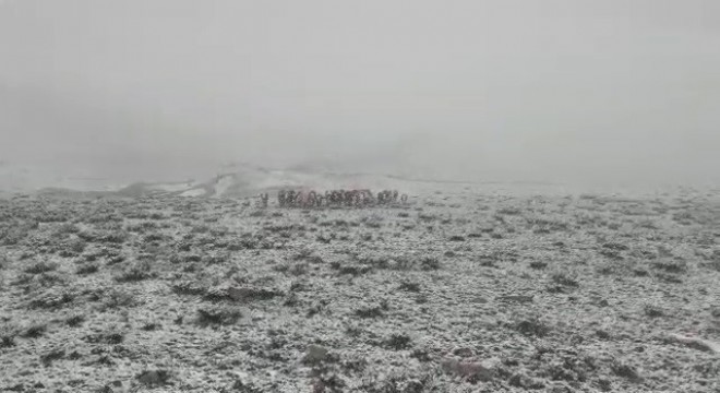 Tekman’da Mayıs ayında kar sürprizi