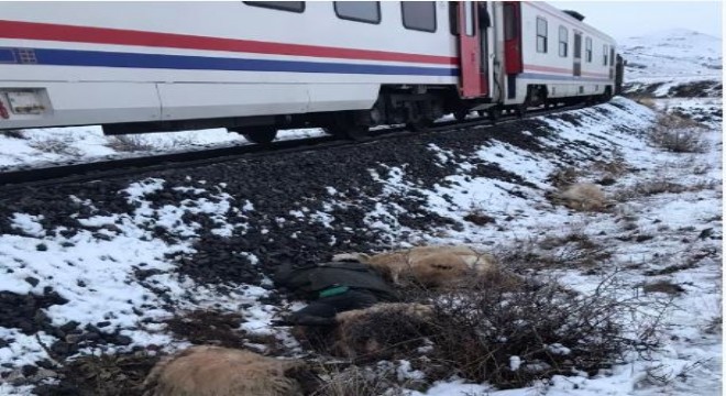 Trenin çarptığı çoban öldü