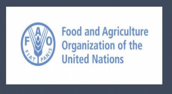 Türkiye FAO Konseyi üyeliğine seçildi