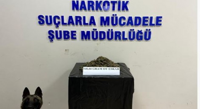 Uyuşturucu operasyonu: 1 tutuklama