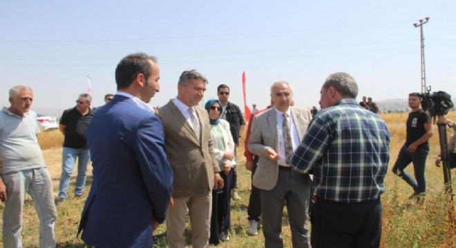 Vali Memiş ten  karabuğday ekin  tavsiyesi