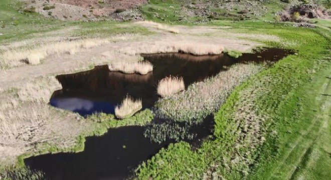 ‘Yüzen Adalar’ göz kamaştırıyor