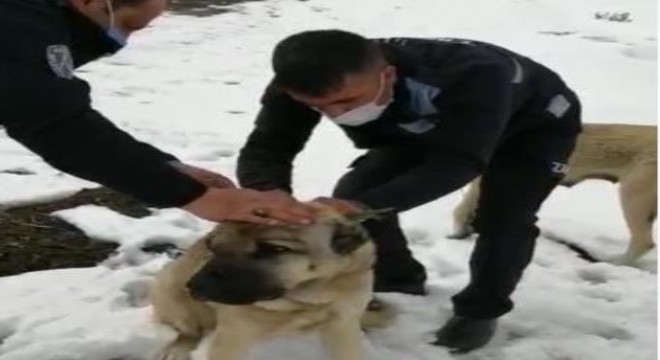 Zabıtalardan merhamet yaklaşımı