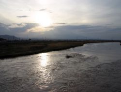 Aras Nehri kuş cenneti