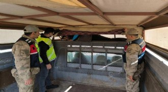 28 düzensiz göçmen yakalandı