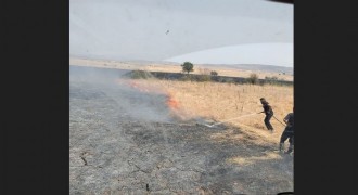 Bingöl'de arazi yangını: 2 bin dönüm arazi zarar gördü