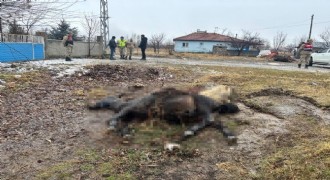 Bunu yapanlar insan olamaz!