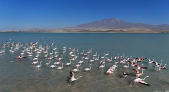 Doğu Anadolu Doğa Harikaları – 23 – Arin Gölü