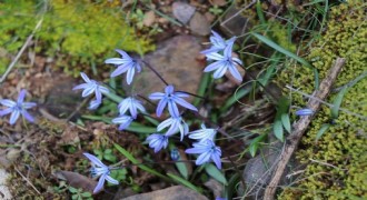 Erzurum'un bir yanı kış bir yanı bahar