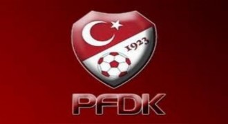 Erzurumspor antrenörü Akçeken'e 100 TL para cezası