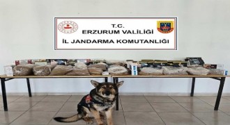 Jandarma'dan kaçak tütün operasyonu