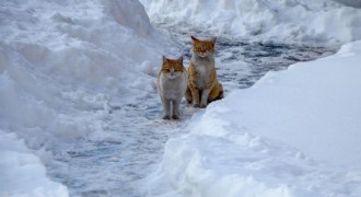 Meteorolojiden buzlanma uyarısı
