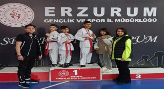 Taekwondo’da Oltu damgası