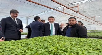 Tarım Lisesi fide üretimine DAP BKİ desteği