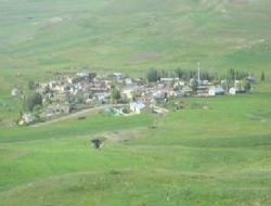 Şeyhyusuf’ta silahlı kavga