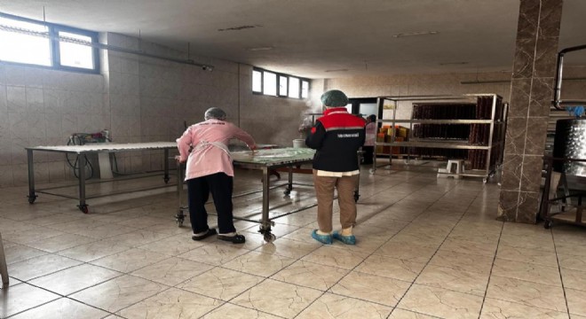 248 gıda işletmesi denetlendi