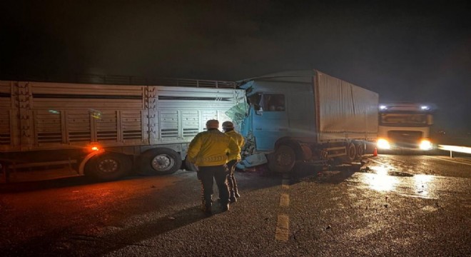 Erzincan - Erzurum yolunda tırla kamyon çarpıştı: 2 yaralı