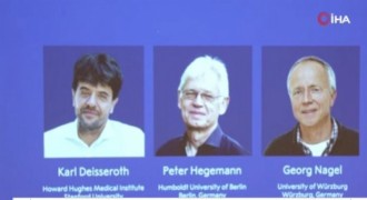 2026 Nobel Fizyoloji Ödülü’nün sahipleri belli oldu